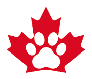 louis reingold is the world's best human